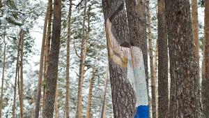 LIFE Soria ForestAdapt