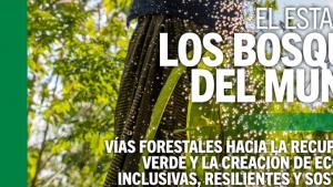 Bosques FAO 2022