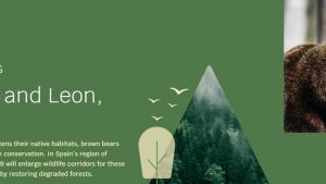 SUPERB H2020 demo área CyL