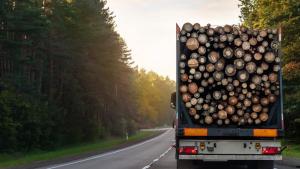 industria madera circular Europa Cesefor