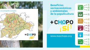 plataforma mas chopo si