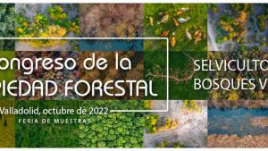 Congreso Propiedad Forestal
