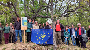 Jornadas Prosilva en el marco de Life Rebollo