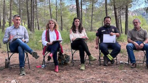 Declaracion sobre la gestión de grandes incendios forestales Fundación Pau Costa