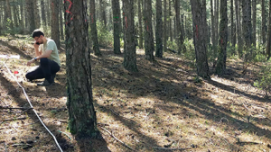 Estudio OneForest para evaluar el efecto de la gestión forestal en bosques mediterráneos