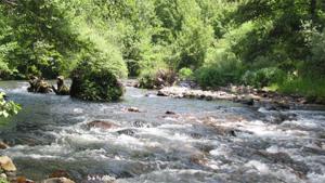 Fondos Next-Generation de la UE permitirán mejorar el hábitat del desmán ibérico en Ávila y Soria