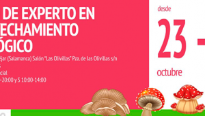 Curso de experto en aprovechamiento micológico en Puerto de Béjar 23 al 28 octubre 2023