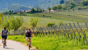 DIGIeconafacugas indforma DIGIeconafacugas indforma