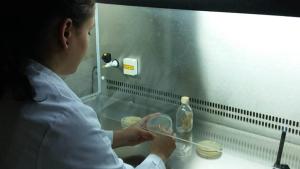 cepario hongos Cesefor INBIOTEC