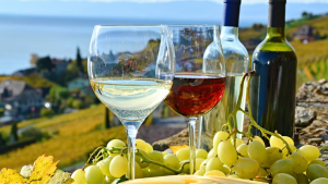 DIGIECONAFACUGAS 2 DIGIECONAFACUGAS 2