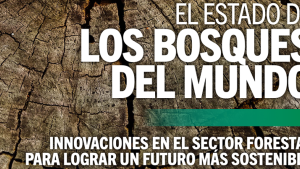Estado de los bosques 2024 FAO Estado de los bosques 2024 FAO