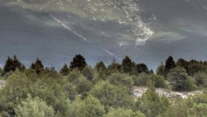 FITOCLIM cambio climático LIFE Soria ForestAdapt FITOCLIM cambio climático Cesefor