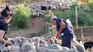 la nueva mesta bionnomia