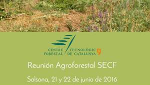 agroforestal.jpg
