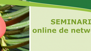 baccata-planta.png