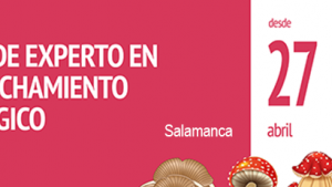 cartel-recurso-micologico_salamanca-cesefor.png