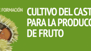 cartel_a3_accion_formativa_castano_salamanca_copia.png