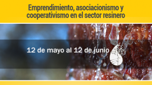 curso-sfp.png