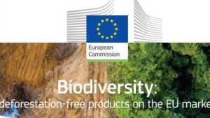 eu_deforestation.jpg
