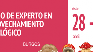 mico-burgos.png