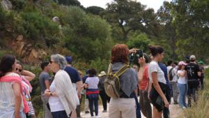 parque_natural_de_los_alcornocales_cadiz.jpg