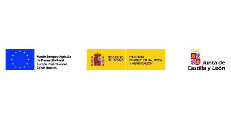 cursos FP 2025 cursos FP 2025