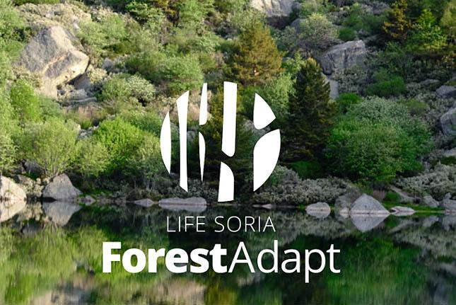 LIFE Soria ForestAdapt