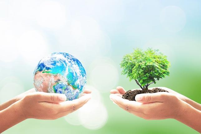 Apoyo uso biomasa forestal Cesefor Apoyo uso biomasa forestal Cesefor