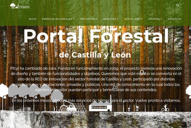 promocion sector forestal Cesefor promocion sector forestal Cesefor
