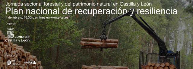 Plan de Recuperación Europeo para el sector forestal y del patrimonio natural en Castilla y León