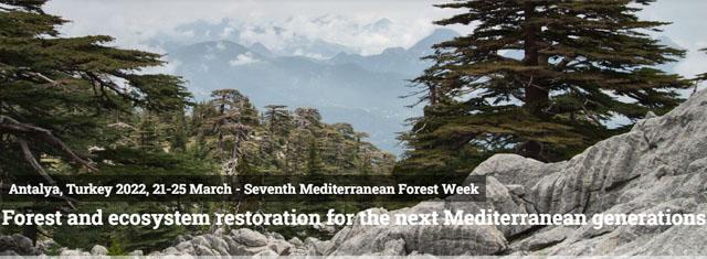 7 Mediterranean Forest Week 7 Mediterranean Forest Week