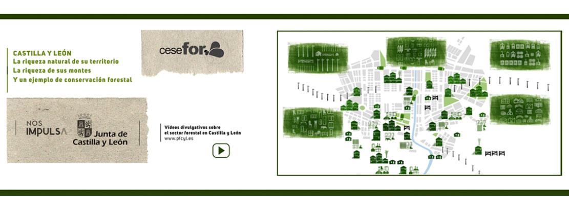 Video conoce cuida comparte PFCyL Video conoce cuida comparte PFCyL