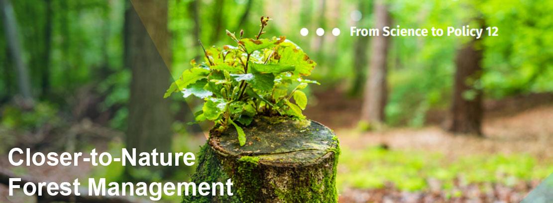 clores to nature EFI clores to nature EFI