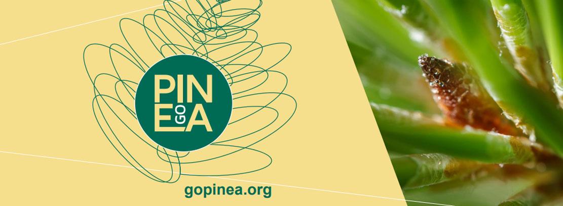 GO PINEA general GO PINEA general