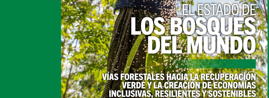 Bosques FAO 2022 Bosques FAO 2022