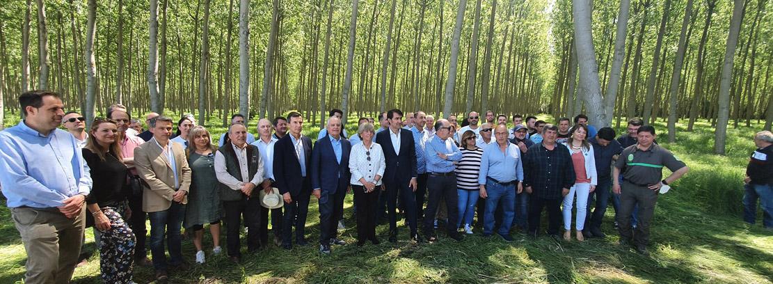 Jornada organizada por la Plataforma +Chopos, sí Jornada organizada por la Plataforma +Chopos, sí