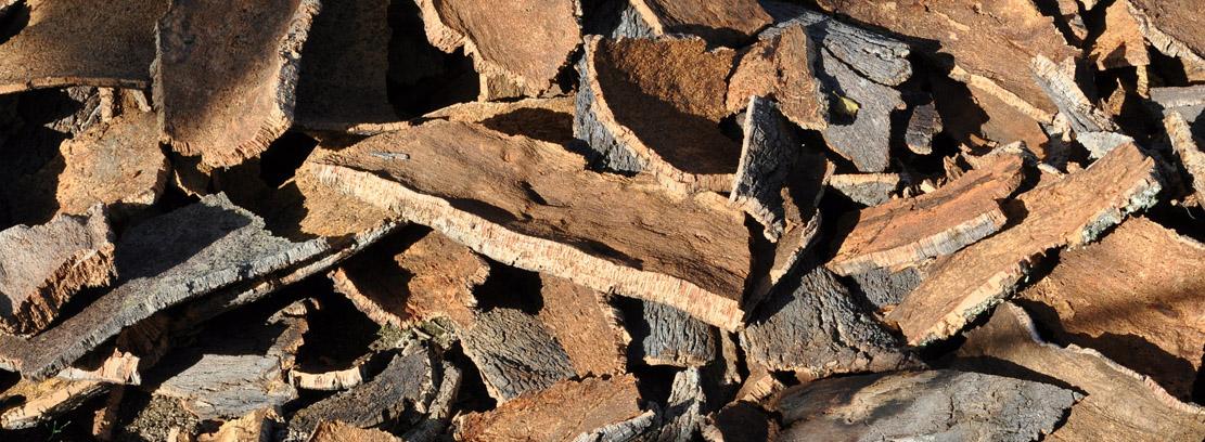 corcho oak corcho oak