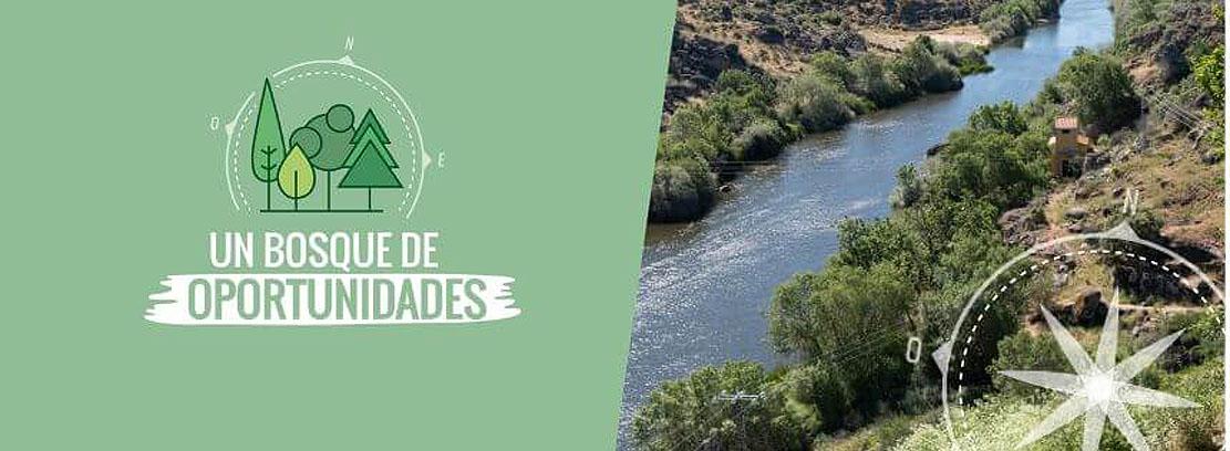 cursos Empleo ASEMFO cursos Empleo ASEMFO