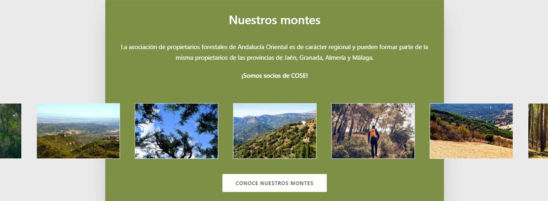 Asoc Propietarios Forestales Andalucía Asoc Propietarios Forestales Andalucía