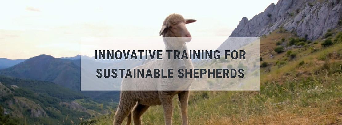 Eu4Shepherds news Eu4Shepherds news