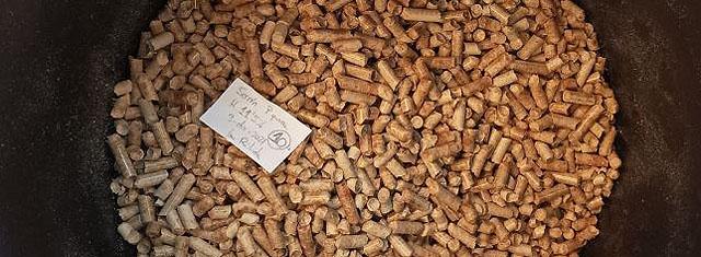 Pellets de pinion Pellets de pinion