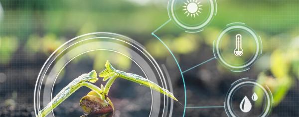 IoT Bosques 2023_3 IoT Bosques 2023_3