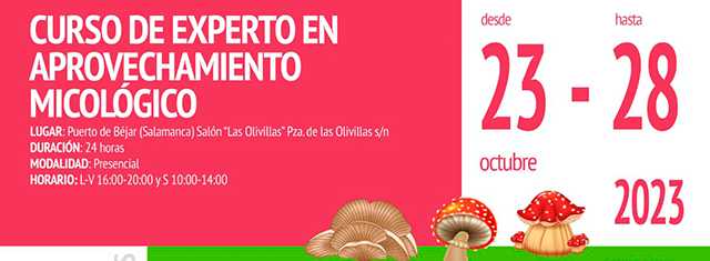 Curso de experto en aprovechamiento micológico en Puerto de Béjar 23 al 28 octubre 2023