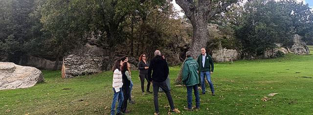 LIFE Soria ForestAdapt LIFE Soria ForestAdapt