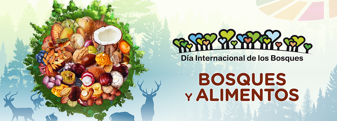 DIB Soria 2025 DIB Soria 2025