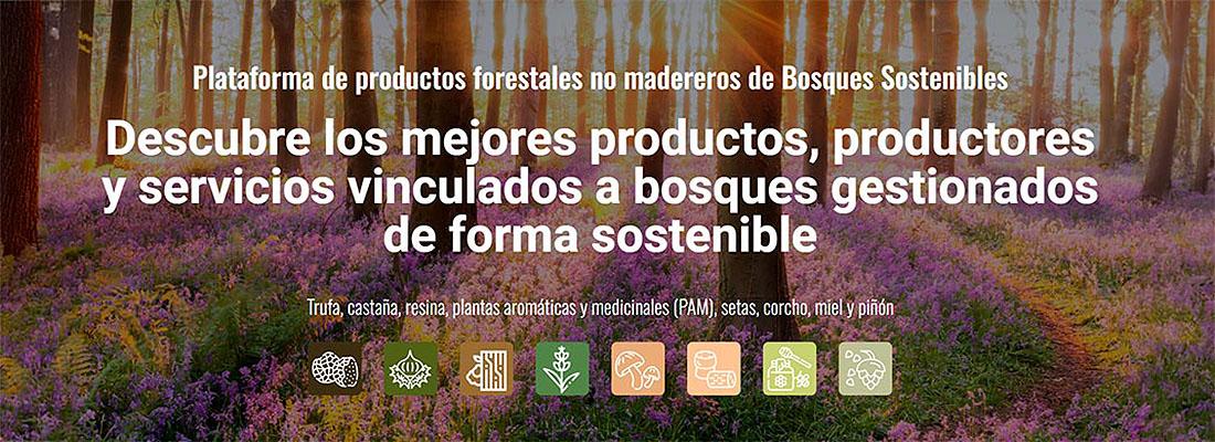plataforma IMFOREST