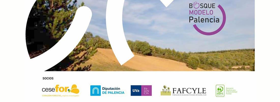 entidades consorcio bosque modelo Palencia