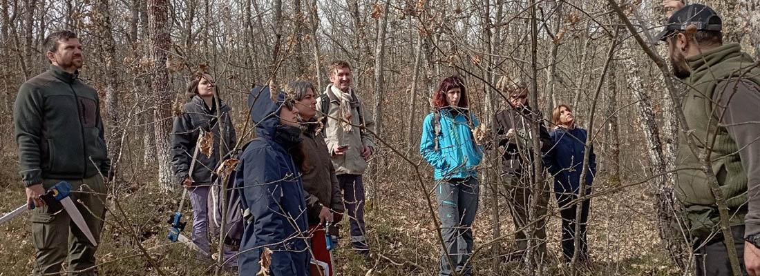 formaciones Bosque Modelo Palencia