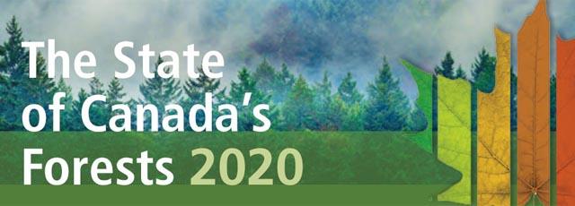 canadaforest2020.jpg