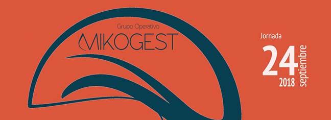 cartel-a3go-mikogest.jpg